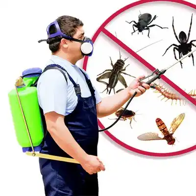 pest control Meadow Vale